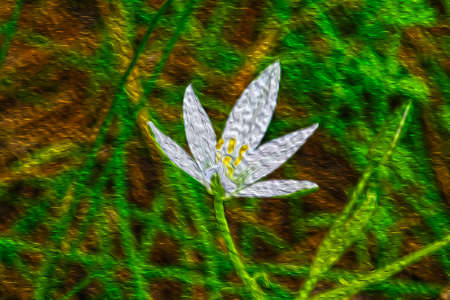 spring in bloomの写真素材