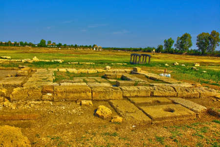 metaponto archaeological parkの写真素材
