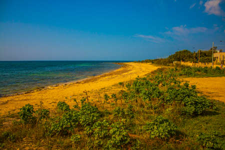 the Salento coast landscape background.の写真素材
