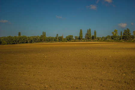 agricultural landscape