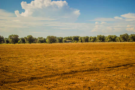 agricultural landscape