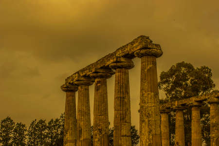 temple of hera in metapontoの写真素材