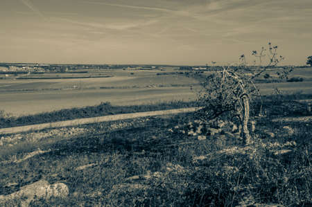 agricultural landscapeの写真素材