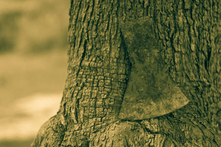 old ax
