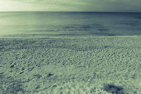 footprints in the sandの写真素材