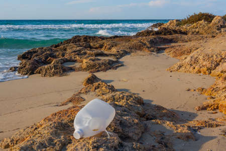 respect the environment