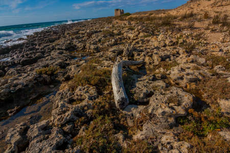 Salento coast