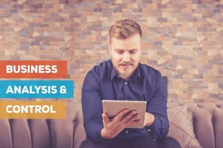 BUSINESS ANALYSIS & CONTROL CONCEPT