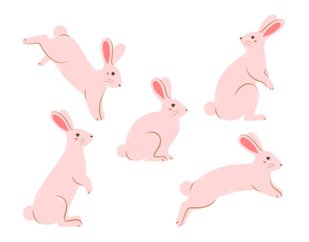 Set of cute rabbits in different poses. Flat vector illustration.のイラスト素材