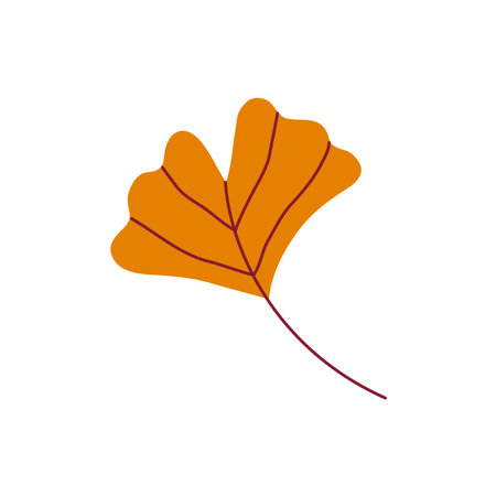 Yellow ginkgo leaf with delicate veins on a white background. Hand drawn vector illustration for autumn designs.のイラスト素材