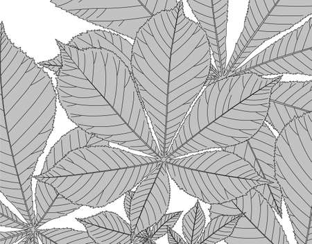 patternのイラスト素材