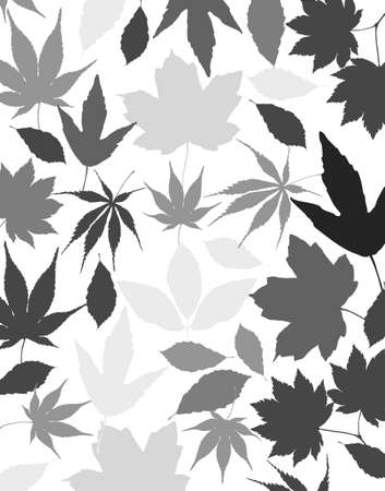 patternのイラスト素材