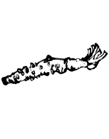 patternのイラスト素材