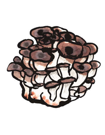 patternのイラスト素材