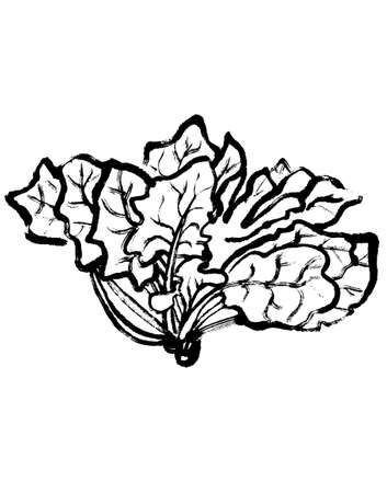 patternのイラスト素材