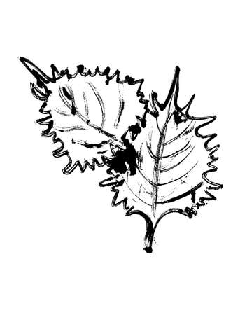 patternのイラスト素材
