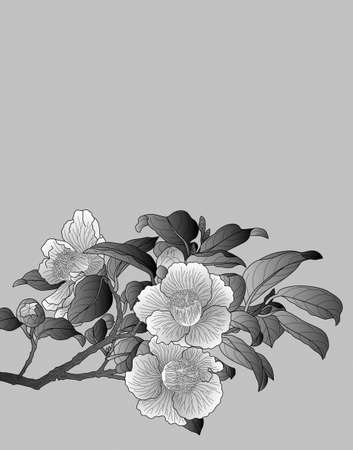 patternのイラスト素材