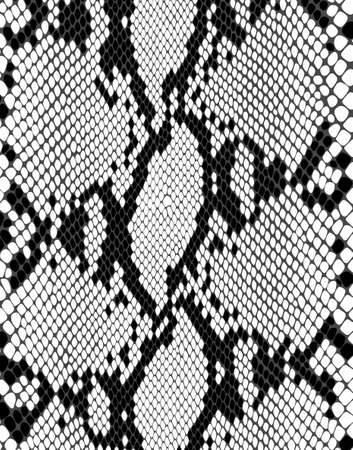 patternのイラスト素材