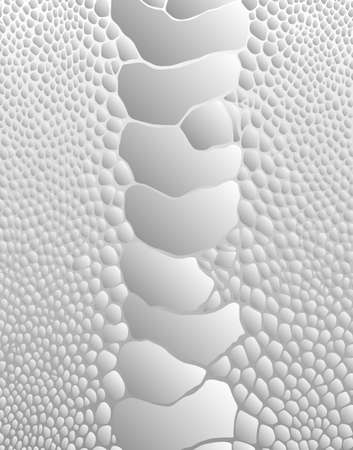 patternのイラスト素材