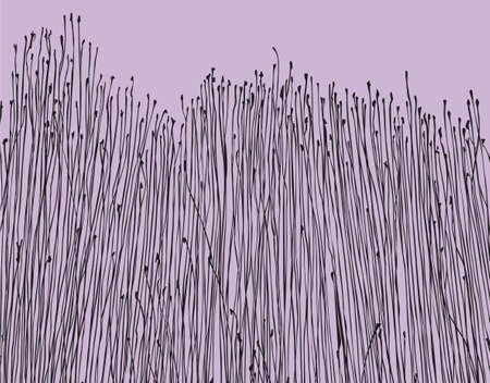 patternのイラスト素材