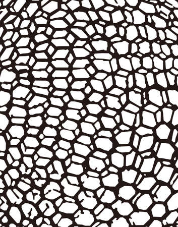 patternのイラスト素材