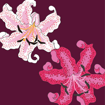 patternのイラスト素材