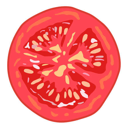 Vector isolated illustration of tomato slice.のイラスト素材
