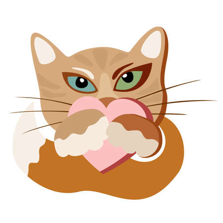 Vector isolated illustration of red cat with a heart in paws. Curled up into a ball. Long red tail with white tip on it. Eyes of different colors, blue and green. Long mustache.のイラスト素材