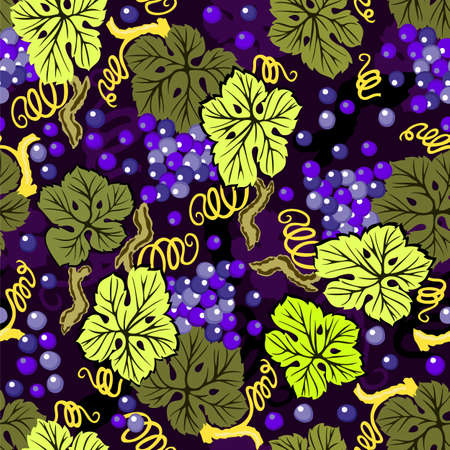 Red grape pattern. Vector seamless illustration. Branches of grapes on dark purple background.のイラスト素材