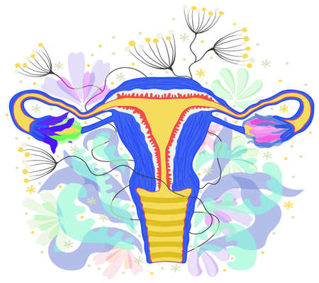 Woman reproductive system decorated with flowers. Female anatomy - uterus, ovaries, fallopian tubes.