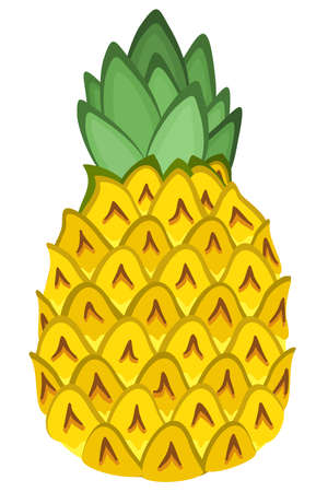 Vector isolated bright illustration of pineapple. tropical plant.のイラスト素材