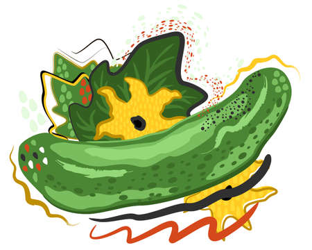 Bright vector abstract illustration of cucumber with leaves and flowers isolated on white background.のイラスト素材