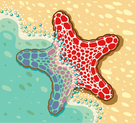 Vector illustration of sea star lying partially in the sea and partially on the sand.のイラスト素材