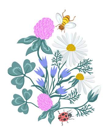 Vector floral composition. summer blooming plants. insects. Clover, camomiles, bells. Ladybird, bee.のイラスト素材