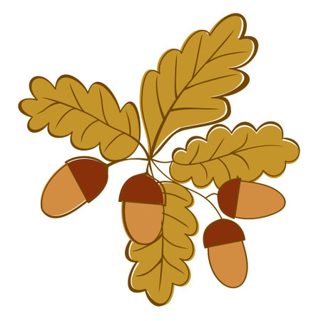 Oak branch with acorns. Vector illustration isolated on white background. autumn concept.のイラスト素材