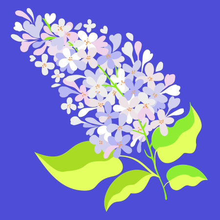 Vector isolated illustration of white lilac branch on blue background.のイラスト素材