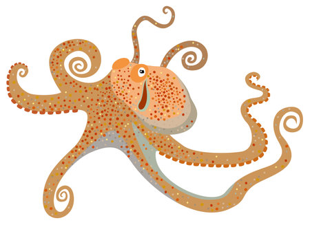 Vector illustration of octopus isolated on white background.のイラスト素材