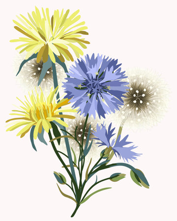Vector illustration of wildflowers. Floral composition of dandelions and cornflowers.のイラスト素材