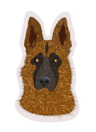 Vector isolated illustration of german shepherd. Clever and big domestic dog.のイラスト素材