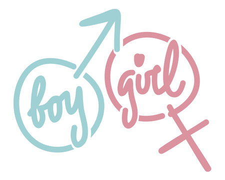 Male and female symbols. boy and girl. blue and pink. Vector signs on white background. Gender icons with lettering.のイラスト素材