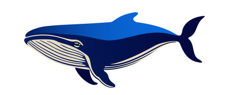 Whale. Ocean mammal animal. Bright vector isolated illustration.