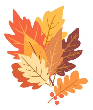 Bouquet of bright autumn leaves. Vector isolated illustrationのイラスト素材