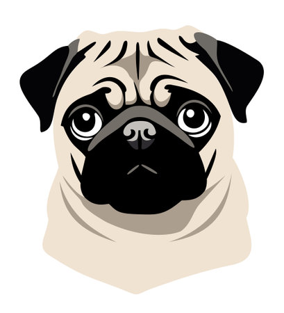 Pug head. Cute pet. Vector isolated illustration.のイラスト素材
