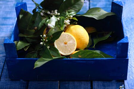 lemons from Murcia, Spain, full of the sun and vitamin Cの写真素材