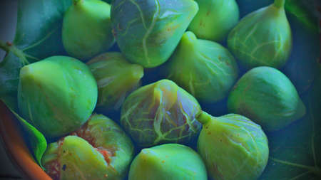 Green figs on their leaves in a clay bucket, seasonal fruit
