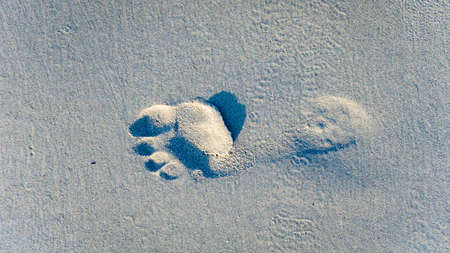 Footprints on the beach together with seaweedの写真素材