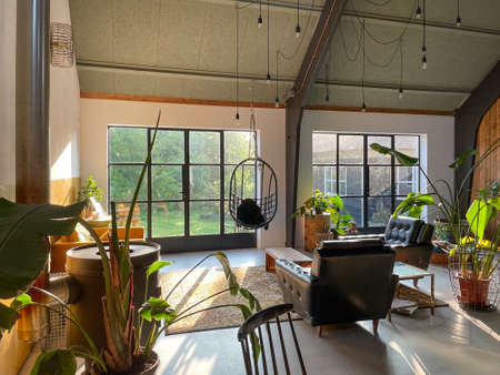 Trendy interior with a retro touch. Midcentury modern furniture, concrete floor