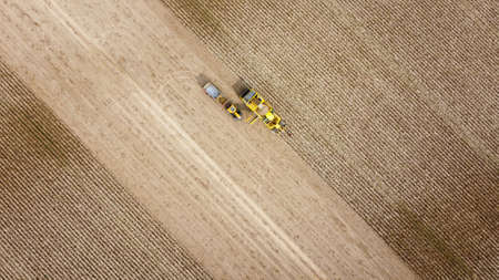 Drone view of harvesting potatoes with a harvester and a tractor. At a farm.の写真素材