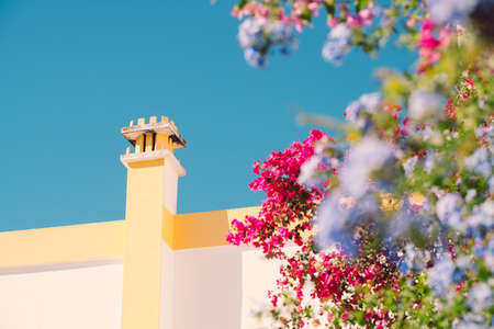 Bougainvillea flowers against a Portuguese house.