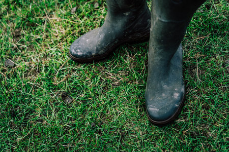 Two dirty black rubbers boots in the grass.の写真素材